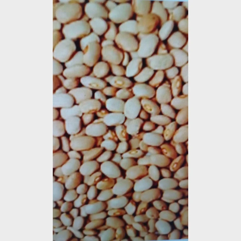 Oloyin Bnner (Honningbnner )