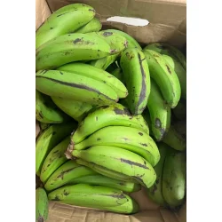 Matoke  Grnne Bananer