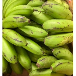 Matoke  Grnne Bananer