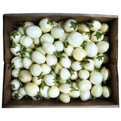 Hvide Haveg (Afrikanske Auberginer)