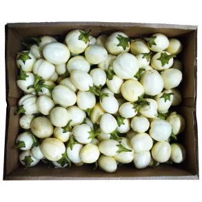 Hvide Have�g (Afrikanske Auberginer)