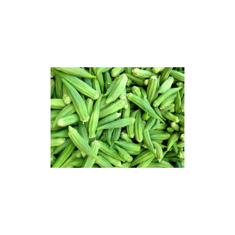 Frisk Okra