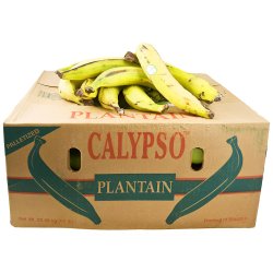 Friske Gule Plantains