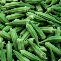 Frisk Okra