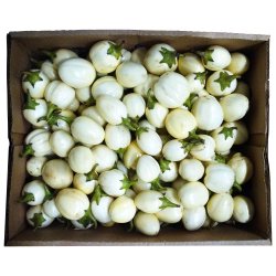 Hvide Haveg (Afrikanske Auberginer)