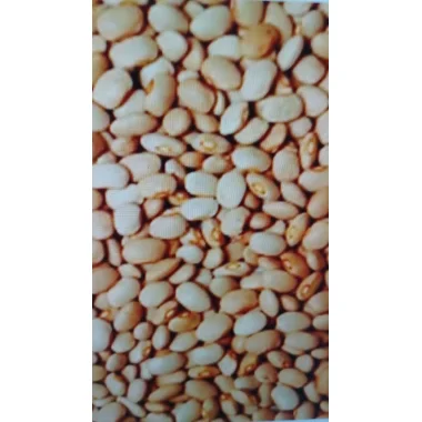 Ris / b&oslash;nner / korn